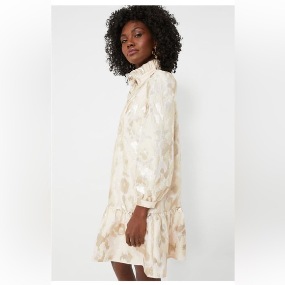Tuckernuck Palmerston Dress M NWT Champagne Fil Coupe Puff Sleeve Ruffle Hem - Picture 10 of 11